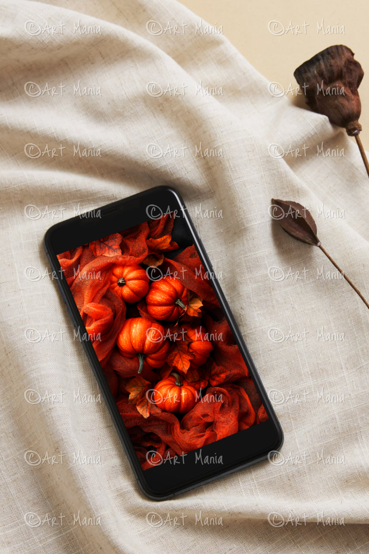 Pumpkins. Mobile background