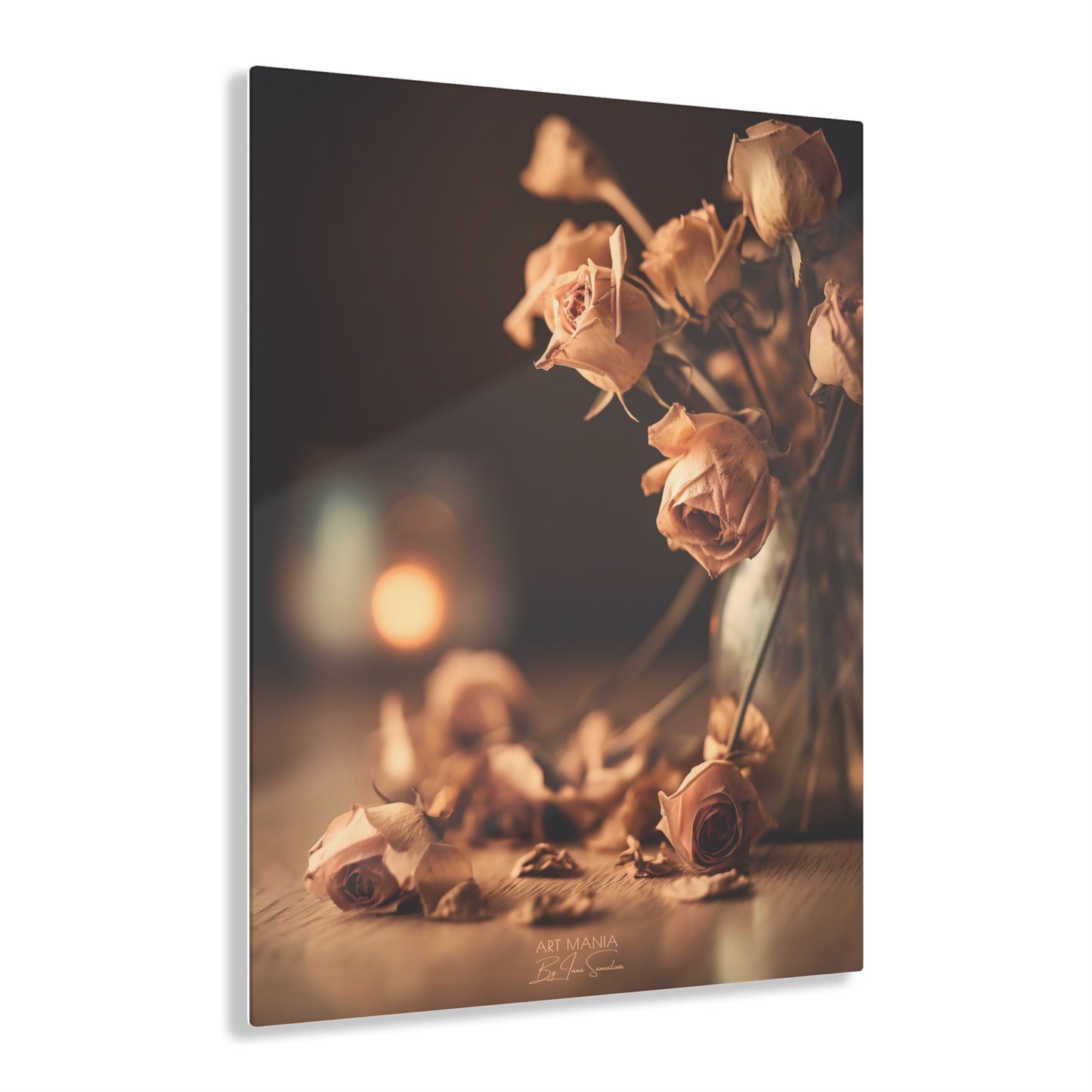 Dry roses. Acrylic Prints