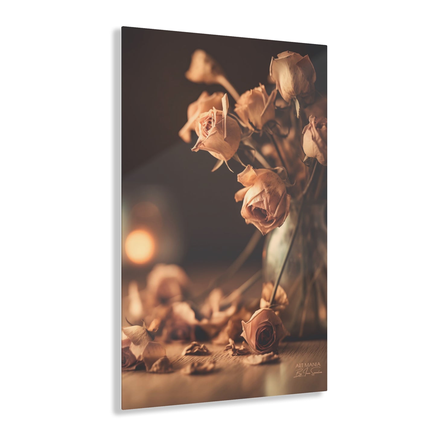 Dry roses. Acrylic Prints