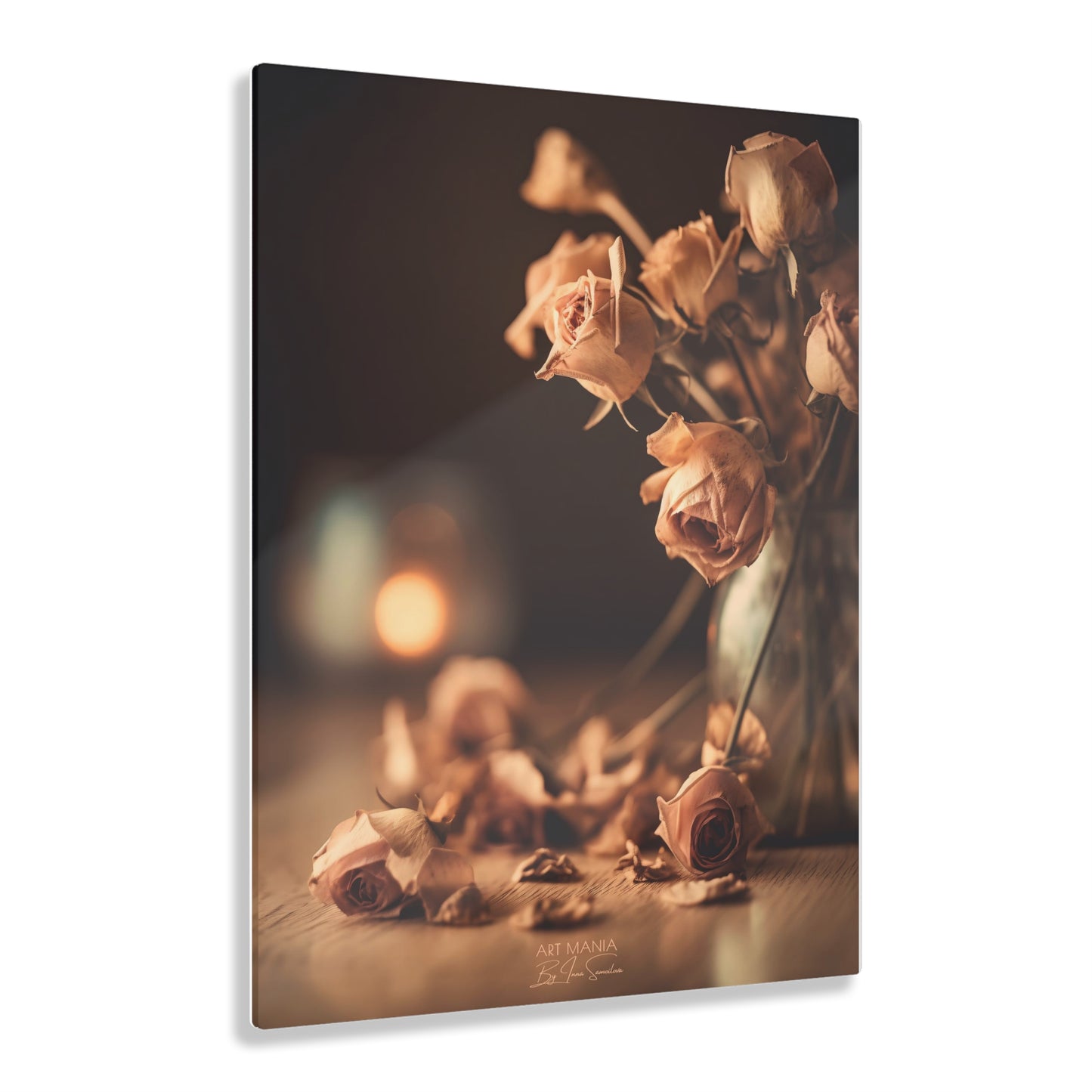 Dry roses. Acrylic Prints