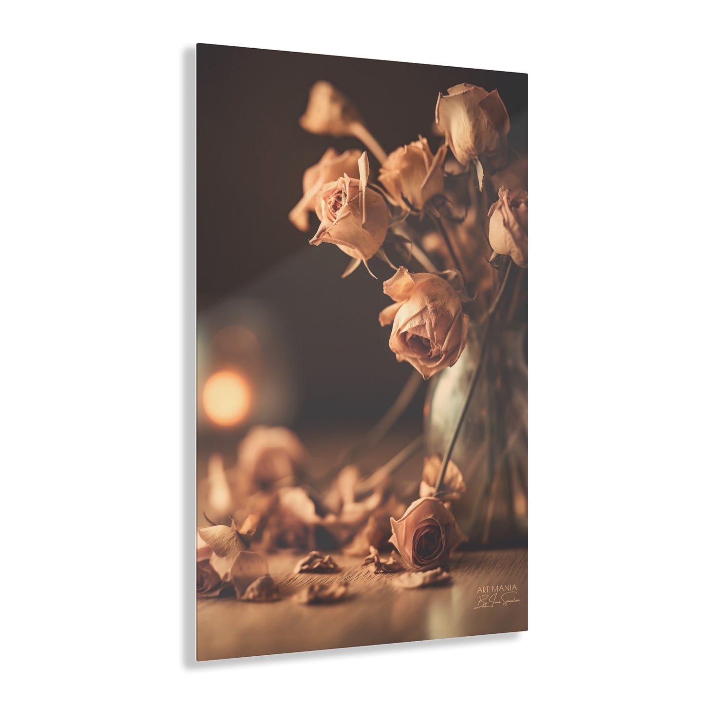 Dry roses. Acrylic Prints