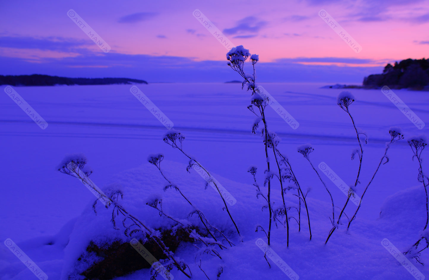 Frozen nature