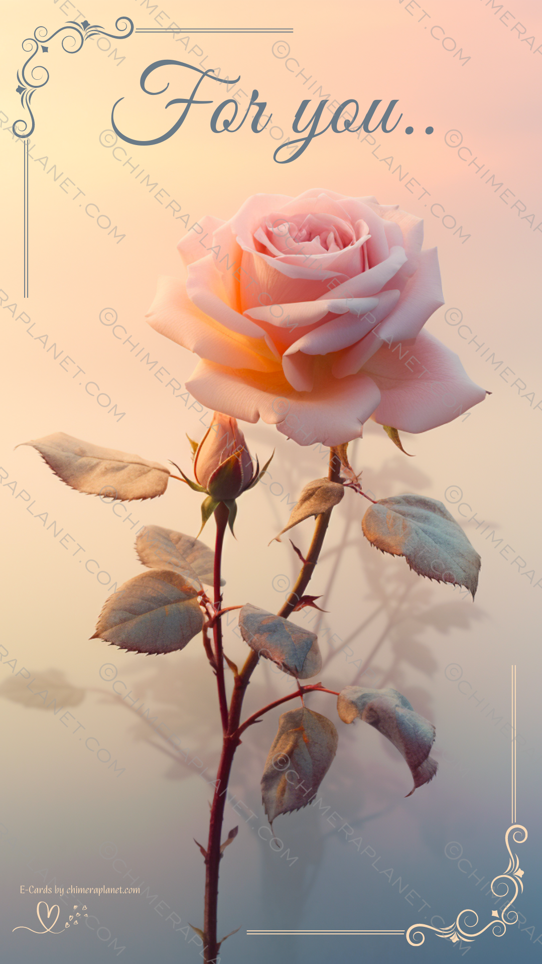 Rose for you. E-Card