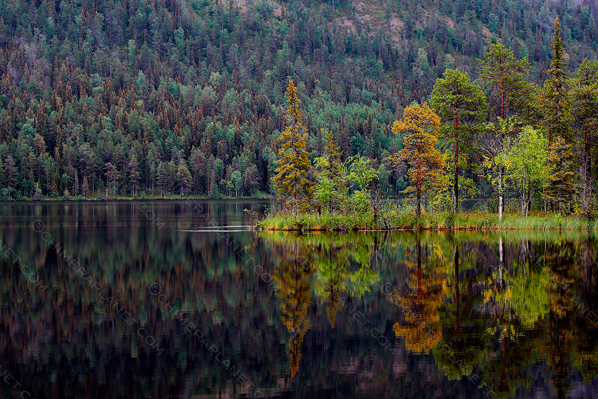 Reflection. Autumn in Lapland